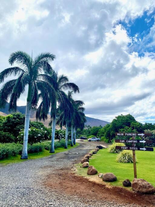 Campervan/Maui Hosted By Go Camp Maui Кіхеї Екстер'єр фото